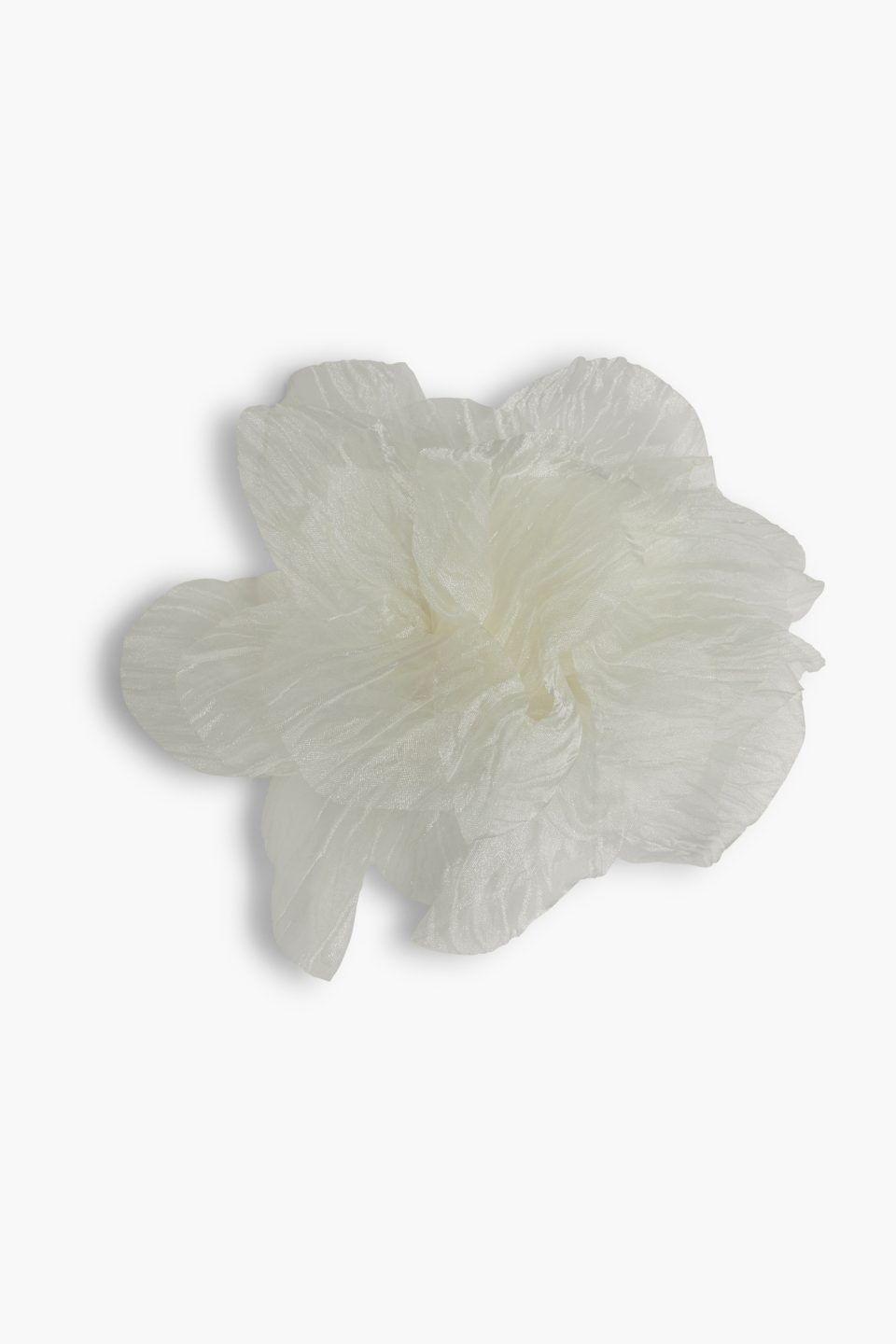 Brosa supradimensionata Cher