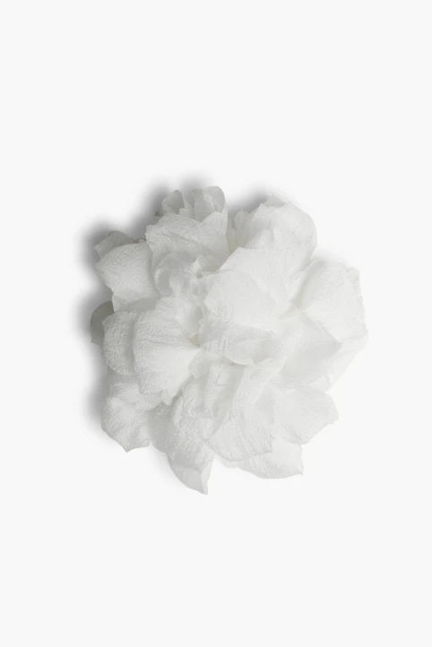 brosa-ronnie-alb (3)